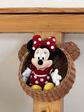 Kôš závesný Mickey